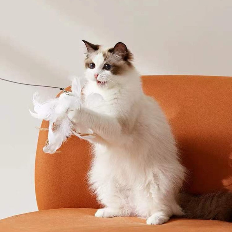 Cat Toy Interactive Feather Simulation Bird Teaser Stick Teaser Kitten Bells Wand Cats Accessories Pet Products Toys For Cat