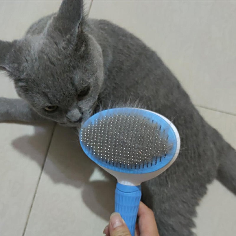 Dog Cat Hair Removal Comb Brush Plastic Pet Grooming Products for Cats Gotas Katten Brushes mascota Accessories cleaning Combs