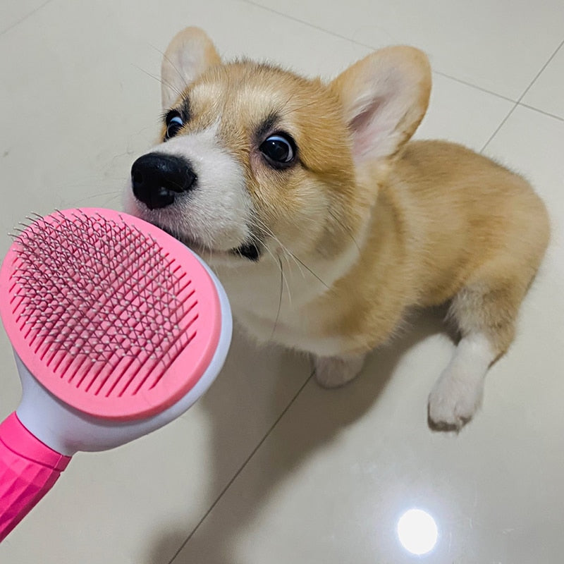 Dog Cat Hair Removal Comb Brush Plastic Pet Grooming Products for Cats Gotas Katten Brushes mascota Accessories cleaning Combs